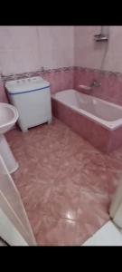 ميامي الاسكندريه