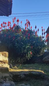 Nordés Casa rural en Lastres entre mar y montaña