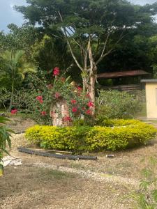 Villa Privada con piscina soleada