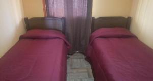 Apartamentos el caleuche