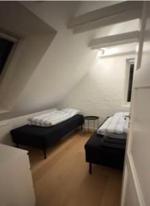 FrydenDall - Roof Top