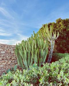 Villette Pietra Bianca