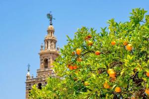 Triana - Luz y calma en apartamento con encanto