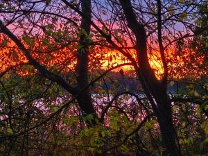 See-Haus, Arboretum & Sauna am Plessower-See