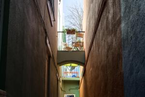 LxRoller Quionga Gardens