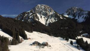 Modern and Luxurious 5-Bedroom Villa with Private Spa in Swiss Alps