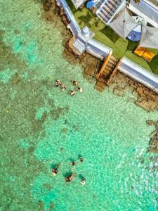 apartamentos amoblados o hotel en Cartagena para arriendo por día desde 330 mil pesos hasta 600 mil mil pesos colombianos