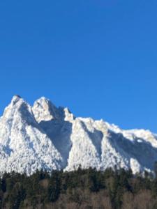 Marova Luxury Loft Caraiman View