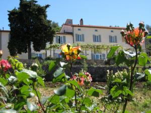 Pension Podere Riparbella Massa Marittima Italien