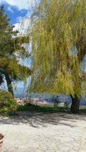 Agriturismo Il Regio Tratturo