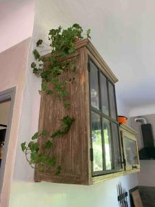 Cocon en Provence à Ménerbes