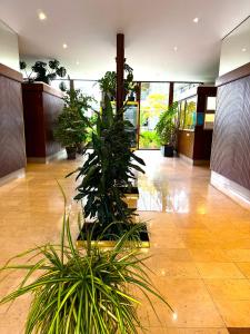 Grand studio vue sur la Tour Eiffel