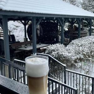 Cabana Transylwonder