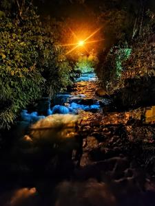 Mindo Suites - Toucans