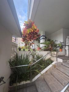 Apartamento pròximo à praia