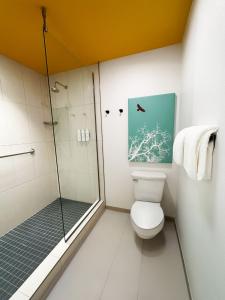 Boundary By Terra Vi Durango