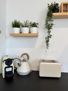 Le Cozy Bijou- Duplex in the heart of Antwerp