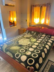 Apartamentos Quintana