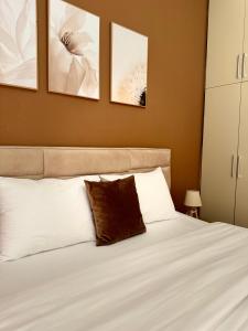 Cozy Stay in Tirana City Center