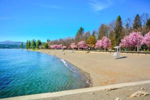 Brand New Pet Friendly Studio Downtown CDA