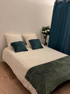 Appartement terrasse WIFI Chaines cablées 4 pers fac de droit Lille Moulins