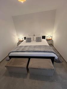 Le Noisetier proche Europa park Marcher de Noel et CARNAVAL