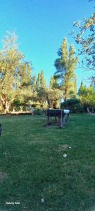 La Brujita, casa de campo