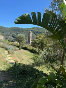 Càmamila sea view charming studio