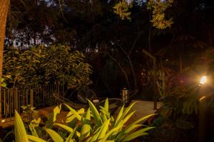 Selvva suites casa de lujo en un bosque nativo