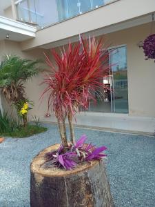 Casa espaçosa a 900 mtrs da praia