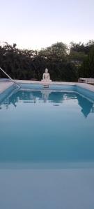 Cabañas El Nirvana Villa Quillinzo