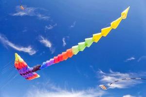 Holiday homes with pool, close to the beach