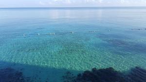 Jamaica Ocean front, Amazing views