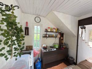 Rooms for Rent