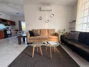 Great apartment 10 min to Fundidora Park Wifi Parking & Coffee