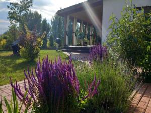 Holiday Home near Baltic Sea and Forest