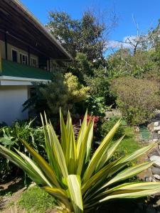 Natüra Hotel Monteverde