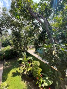Zandeepa Homestay