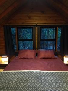 Cabaña en Pucón en bosque nativo