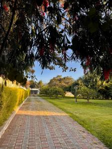 Apartment with gardens near the airport