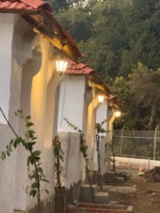 White Oasis Jungle Resort