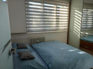 Útulný byt nedaleko centra