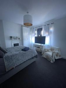 Artsy Minimalist Suite