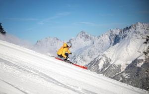 Active Alpin Appartement 1