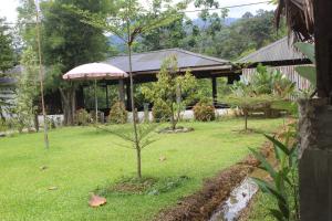 Bukit Lawang Backpacker JungleTrekking Only Booking with us