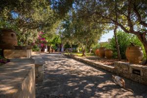 Orionas Village Chania Greece