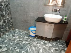 Sariska farmhouse villa