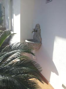 B&b Irma img12