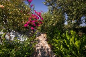 Orionas Village Chania Greece