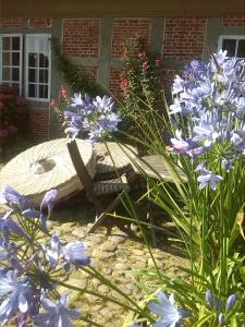 Apartments Wassermühle Stenten